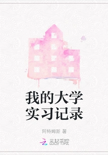 My University Internship Record