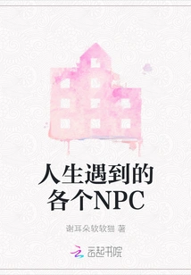 Various Npcs Encountered in Life