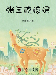 Zhang San's Wanderings