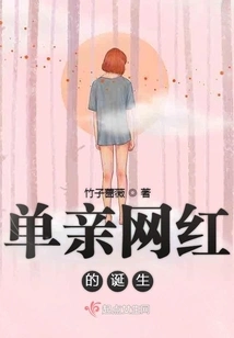 The Birth of a Single Parent Internet Celebrity