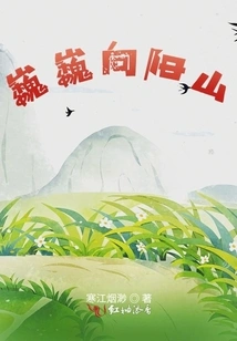 Towering Xiangyang Mountain