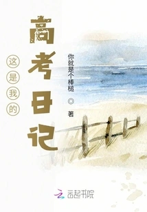 This is My College Entrance Examination Diary