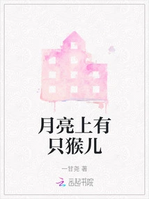 There is a Monkey on the Moon