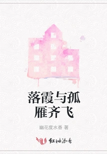 Falling Clouds and Lonely Geese Flying Together