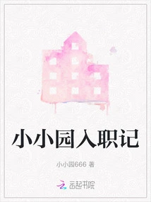 Xiaoxiaoyuan Employment Record