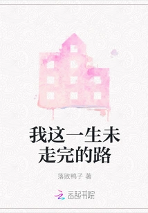 The Road I Have Never Finished in This Life