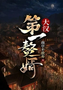 The First Son-in-law of the Han Dynasty