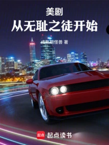 American Tv Series: Shameless