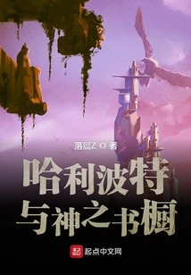 Harry Potter and the Bookcase