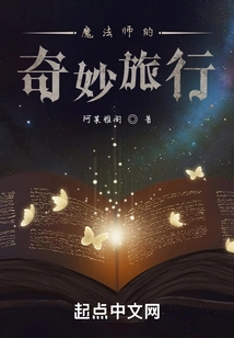 The Magician's Wonderful Journey