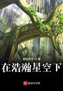 Under the Vast Starry Sky