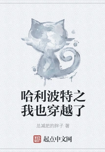 Harry Potter: I Also Traveled Through Time