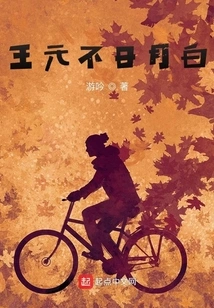 Wang Yuan is Not as Bright as the Sun and the Moon