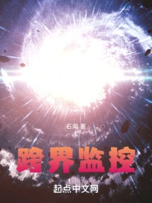 Cross-border Surveillance