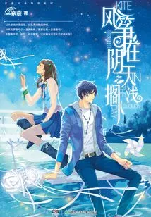 Kite Stranded on Cloudy Day