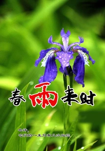 When the Spring Rain Comes