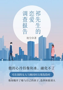 Mr. Qi's Love Investigation Report