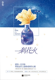 A Moment of Fireworks