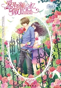 Love is the Memory of Weilan