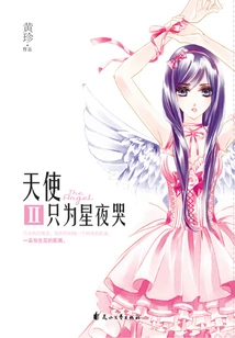 Angels Only Cry for the Starry Night 2