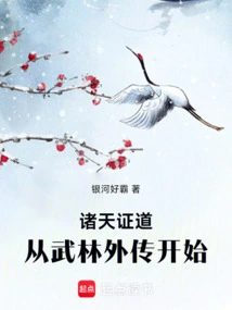 The Heavens Prove the Way: Starting from Wulin Gaiden