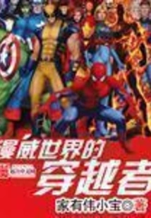 Travelers in the Marvel World