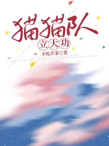 The Cat Team Makes Great Achievements