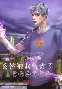 The System Exploded, I Inherited the System