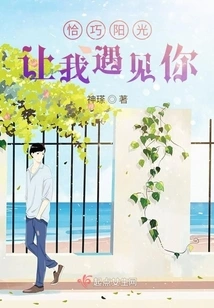 It Happened That the Sunshine Allowed Me to Meet You