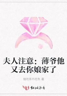 Attention, Madam: Mr. Bo Has Gone to Your Mother's House Again