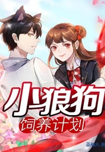 Wolf Puppy Breeding Plan