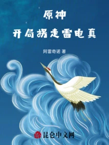 Genshin Impact, Abducting Raiden Shin at the Beginning