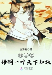 King of Nets: One Leaf of the Sycamore Tree Tells the World About Autumn