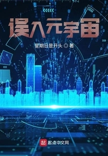 Entering the Metaverse by Mistake