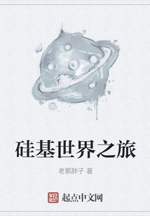 A Journey into the World of Silicon