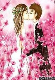 The Secret under the Cherry Blossoms