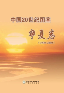 China 20th Century Illustrated Book. Ningxia Volume: 1900-2000