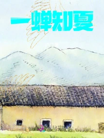 A Cicada Knows Summer