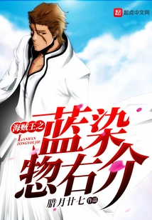 One Piece Aizen Sosuke