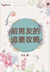 Ex-boyfriend's Strategy for Chasing a Wife