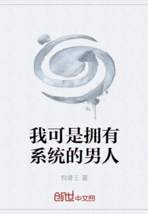 I Am a Man with a System