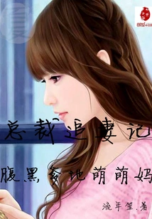 The Ceo's Story of Chasing His Wife: the Dark Daddy and the Adorable Mother