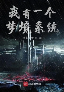 I Have a Dream System