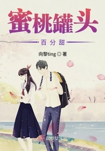 Canned Peaches 100% Sweet