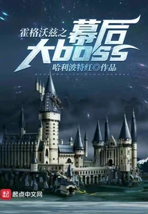 The Big Boss Behind Hogwarts: