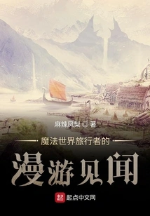 A Traveler's Travels in the Magical World