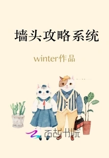 Wall Strategy System