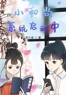 The Little Monk System is Starting