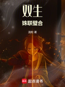 Twins: a Perfect Match