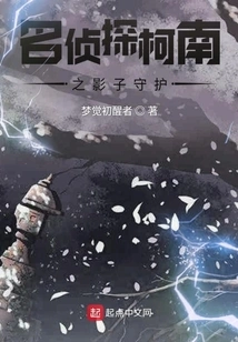 Detective Conan: Shadow Guardian